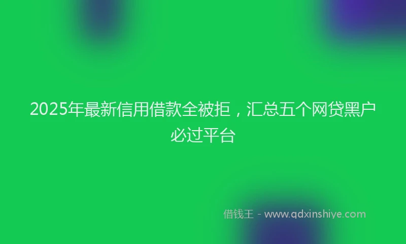 2025年最新信用借款全被拒，汇总五个网贷黑户必过平台