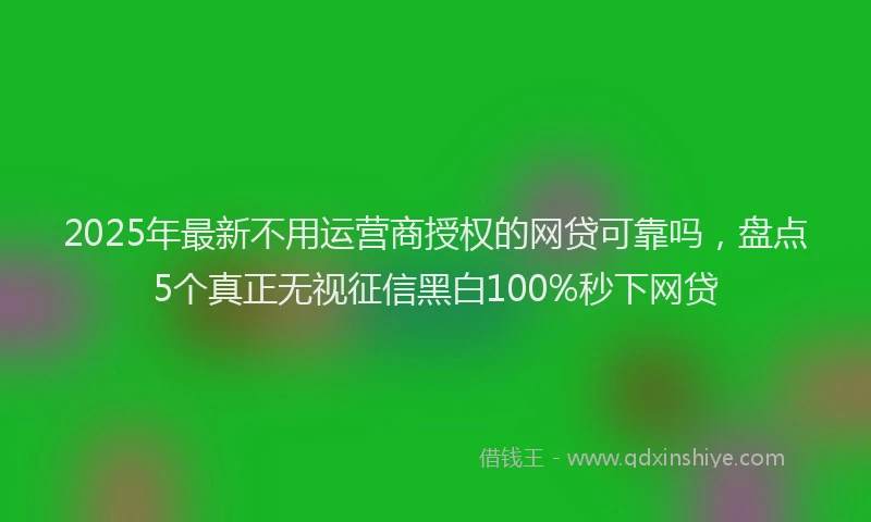 2025年最新不用运营商授权的网贷可靠吗，盘点5个真正无视征信黑白100%秒下网贷
