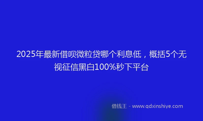2025年最新借呗微粒贷哪个利息低，概括5个无视征信黑白100%秒下平台