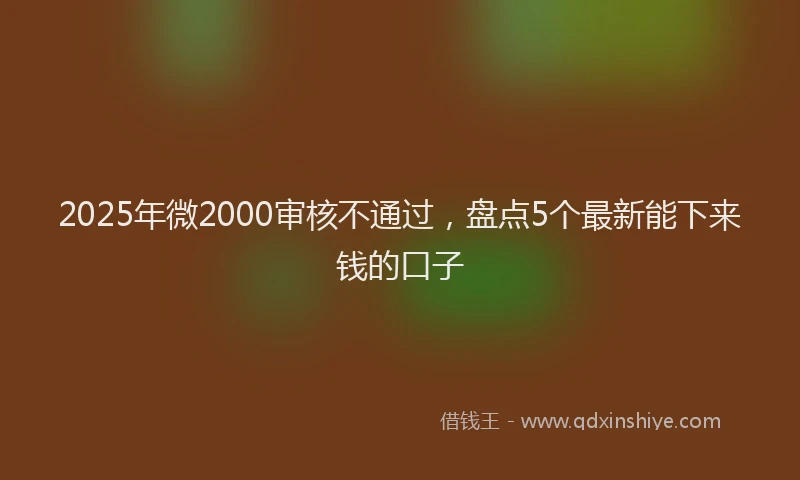 2025年微2000审核不通过，盘点5个最新能下来钱的口子