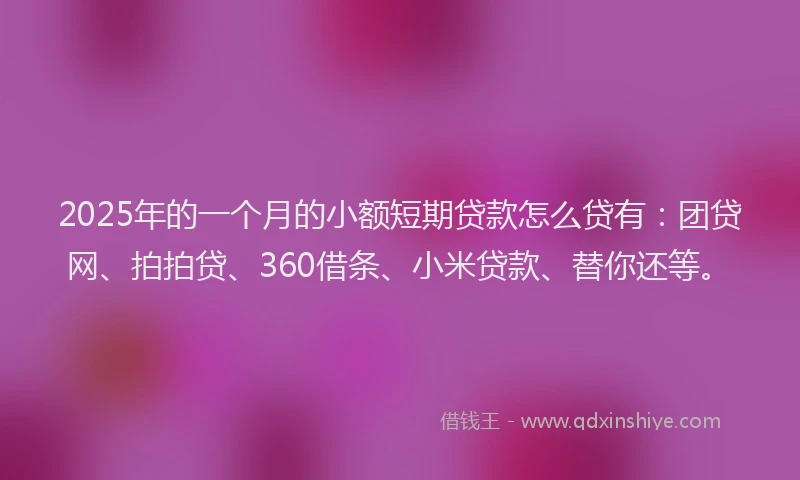 2025年的一个月的小额短期贷款怎么贷有：团贷网、拍拍贷、360借条、小米贷款、替你还等。