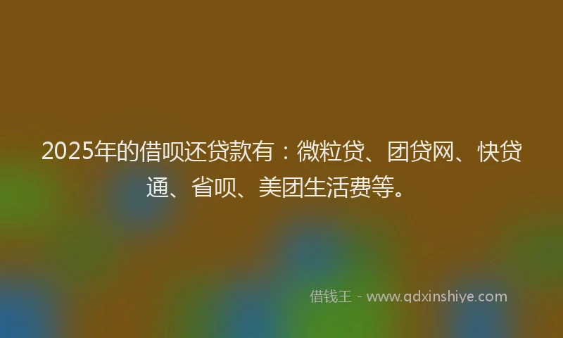 2025年的借呗还贷款有：微粒贷、团贷网、快贷通、省呗、美团生活费等。