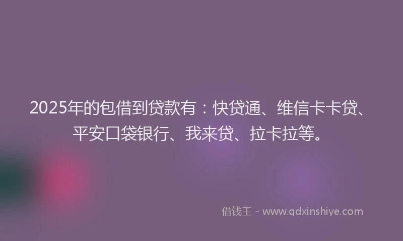 2025年的包借到贷款有：快贷通、维信卡卡贷、平安口袋银行、我来贷、拉卡拉等。