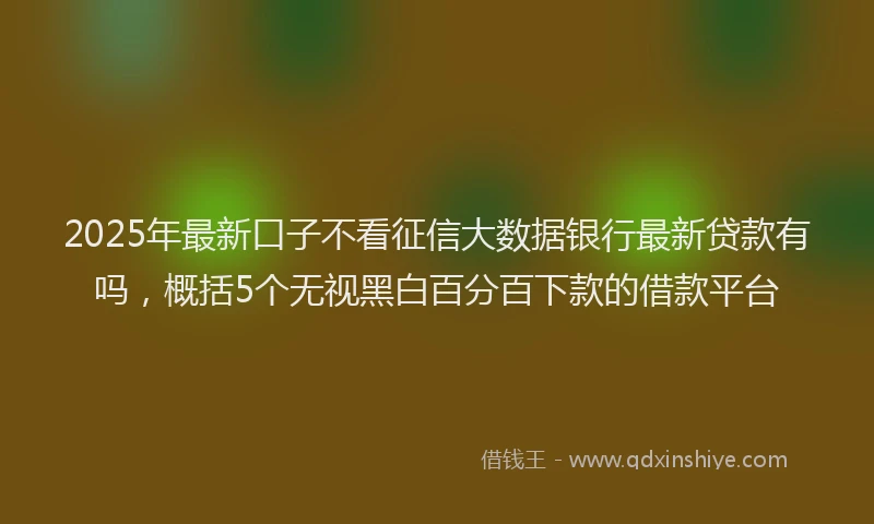 2025年最新口子不看征信大数据银行最新贷款有吗，概括5个无视黑白百分百下款的借款平台