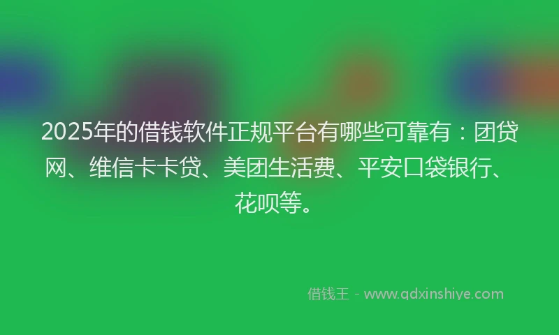 2025年的借钱软件正规平台有哪些可靠有：团贷网、维信卡卡贷、美团生活费、平安口袋银行、花呗等。