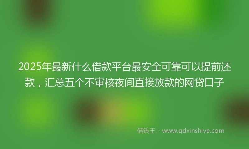 2025年最新什么借款平台最安全可靠可以提前还款，汇总五个不审核夜间直接放款的网贷口子