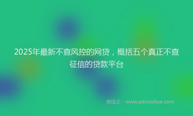 2025年最新不查风控的网贷，概括五个真正不查征信的贷款平台