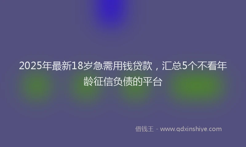 2025年最新18岁急需用钱贷款，汇总5个不看年龄征信负债的平台