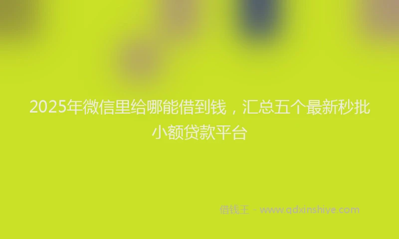 2025年微信里给哪能借到钱，汇总五个最新秒批小额贷款平台