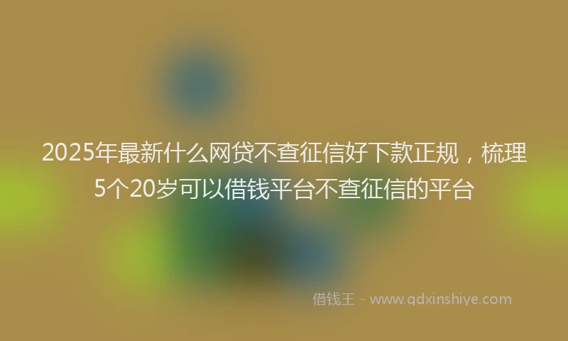 2025年最新什么网贷不查征信好下款正规，梳理5个20岁可以借钱平台不查征信的平台