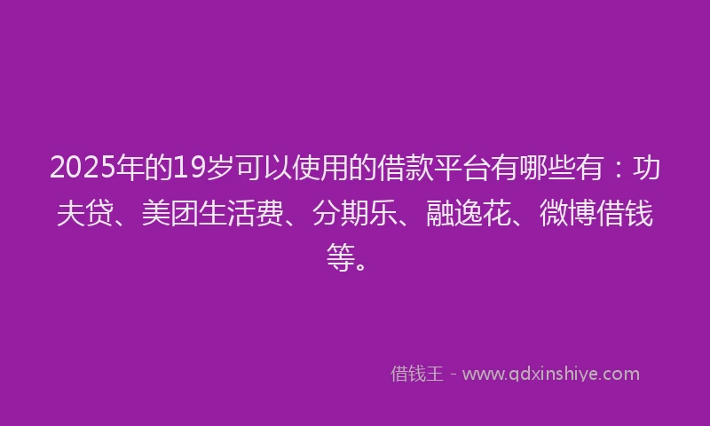 2025年的19岁可以使用的借款平台有哪些有：功夫贷、美团生活费、分期乐、融逸花、微博借钱等。