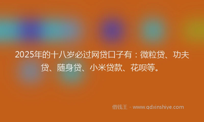 2025年的十八岁必过网贷口子有：微粒贷、功夫贷、随身贷、小米贷款、花呗等。