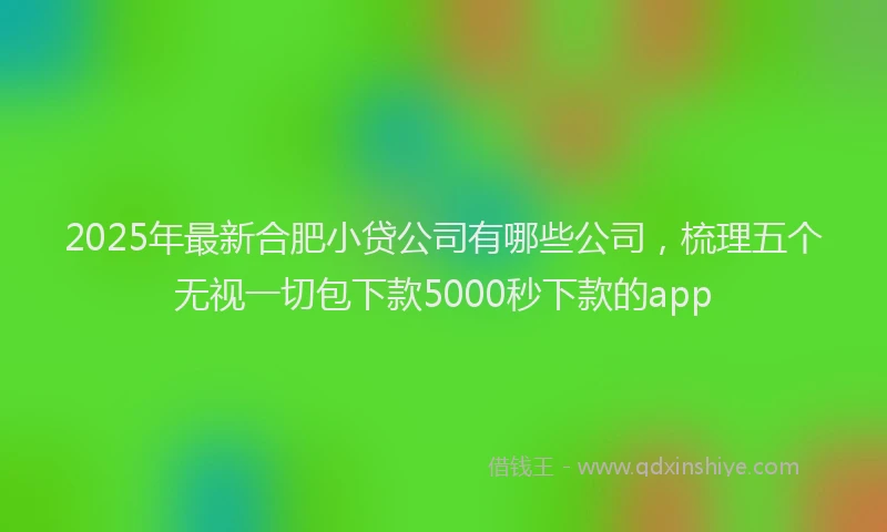 2025年最新合肥小贷公司有哪些公司，梳理五个无视一切包下款5000秒下款的app