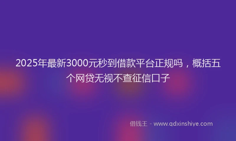 2025年最新3000元秒到借款平台正规吗，概括五个网贷无视不查征信口子