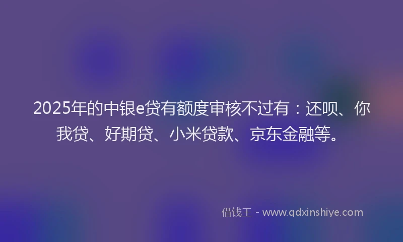 2025年的中银e贷有额度审核不过有：还呗、你我贷、好期贷、小米贷款、京东金融等。