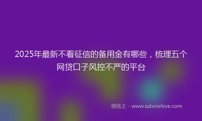 2025年最新不看征信的备用金有哪些，梳理五个网贷口子风控不严的平台