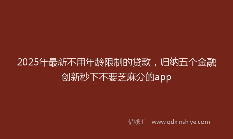 2025年最新不用年龄限制的贷款，归纳五个金融创新秒下不要芝麻分的app