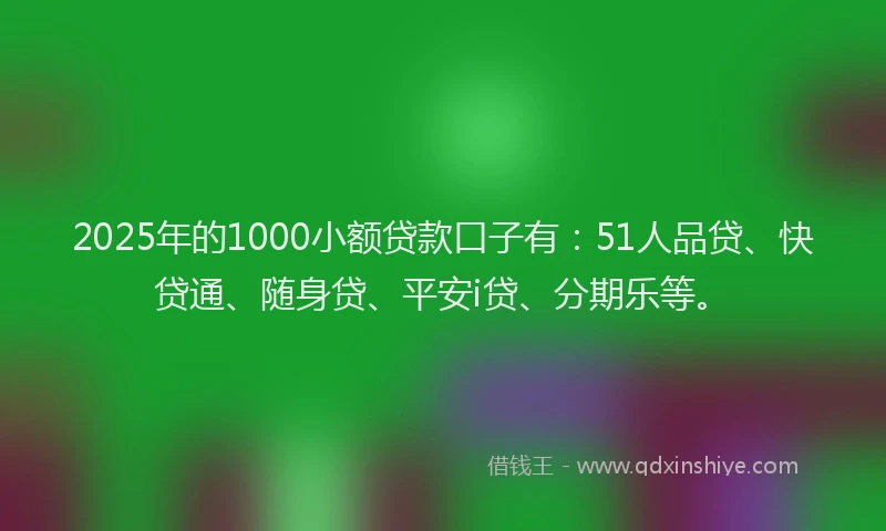 2025年的1000小额贷款口子有：51人品贷、快贷通、随身贷、平安i贷、分期乐等。