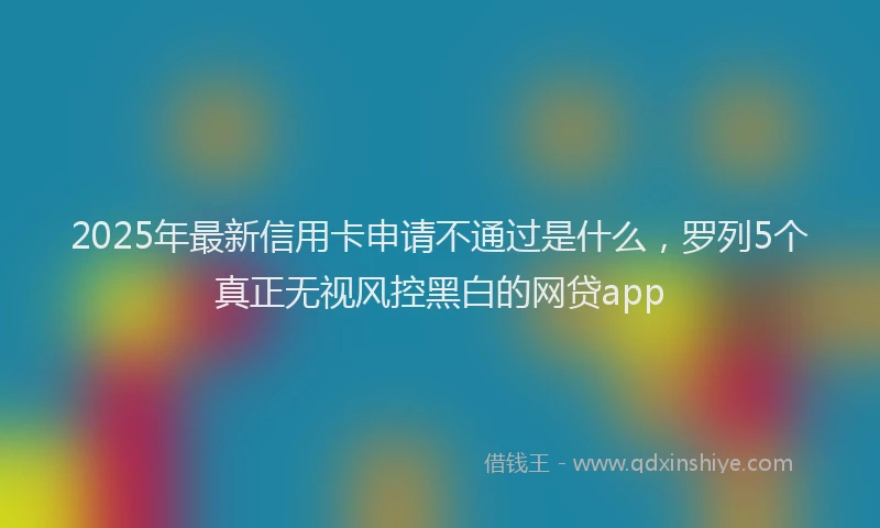 2025年最新信用卡申请不通过是什么，罗列5个真正无视风控黑白的网贷app