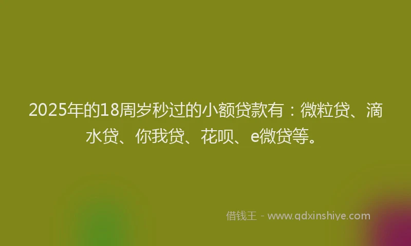 2025年的18周岁秒过的小额贷款有：微粒贷、滴水贷、你我贷、花呗、e微贷等。