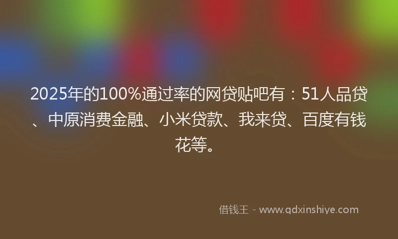 2025年的100%通过率的网贷贴吧有：51人品贷、中原消费金融、小米贷款、我来贷、百度有钱花等。