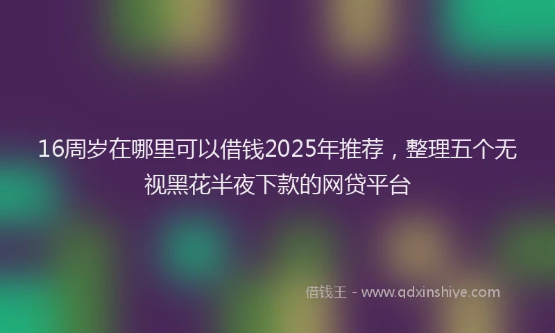 16周岁在哪里可以借钱2025年推荐，整理五个无视黑花半夜下款的网贷平台
