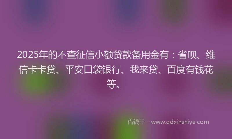2025年的不查征信小额贷款备用金有：省呗、维信卡卡贷、平安口袋银行、我来贷、百度有钱花等。