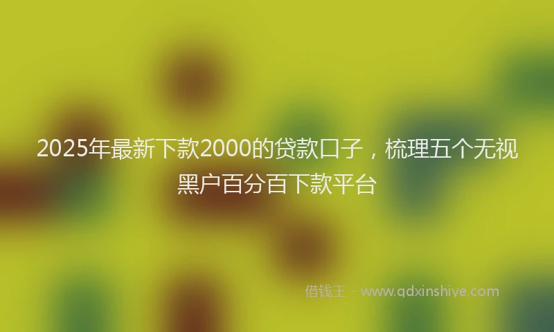 2025年最新下款2000的贷款口子，梳理五个无视黑户百分百下款平台