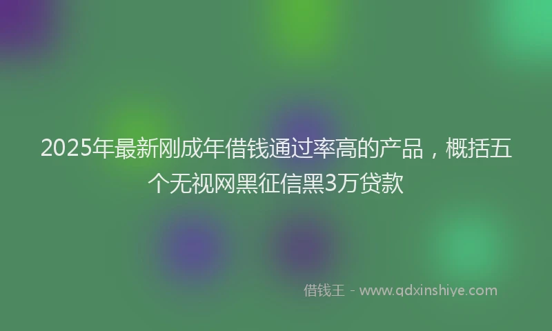 2025年最新刚成年借钱通过率高的产品，概括五个无视网黑征信黑3万贷款
