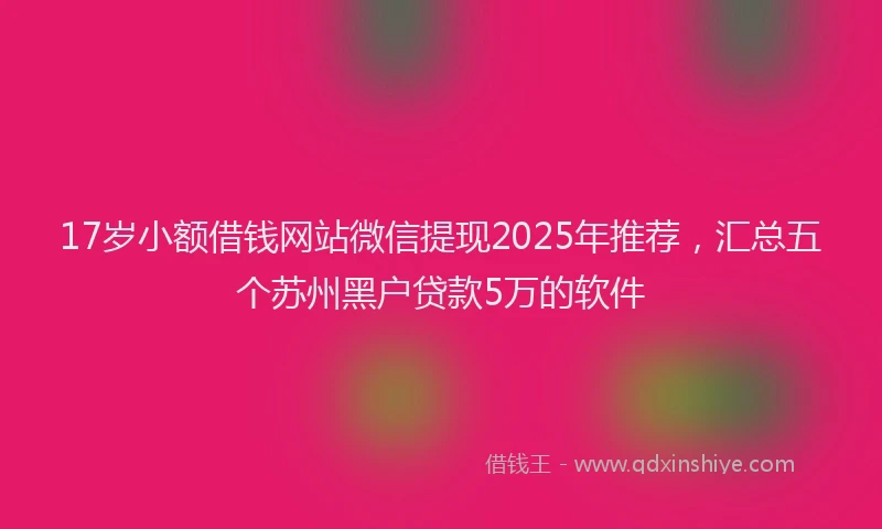 17岁小额借钱网站微信提现2025年推荐，汇总五个苏州黑户贷款5万的软件