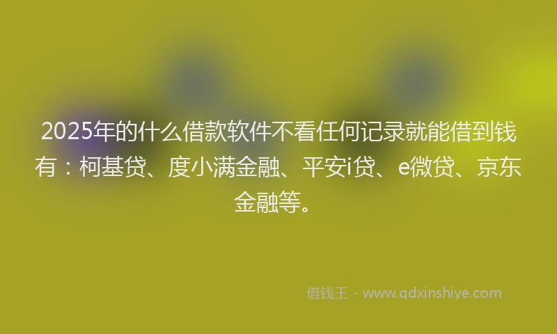 2025年的什么借款软件不看任何记录就能借到钱有：柯基贷、度小满金融、平安i贷、e微贷、京东金融等。