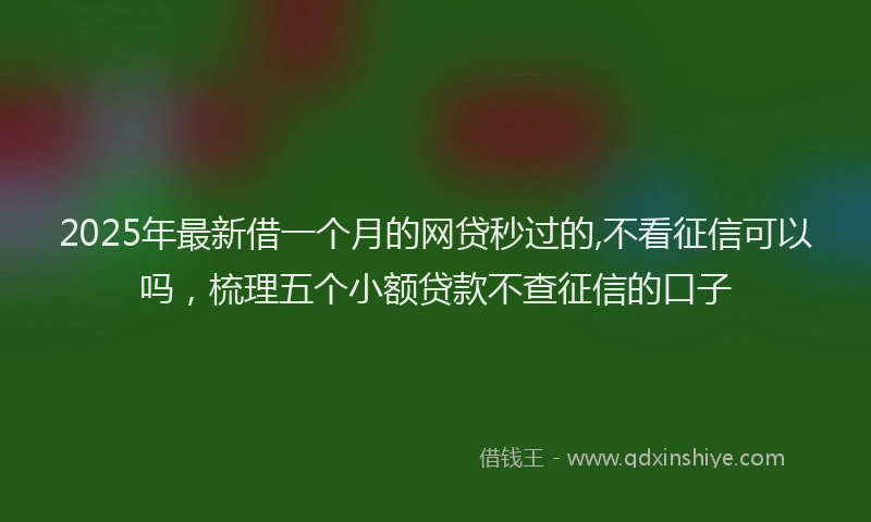 2025年最新借一个月的网贷秒过的,不看征信可以吗，梳理五个小额贷款不查征信的口子