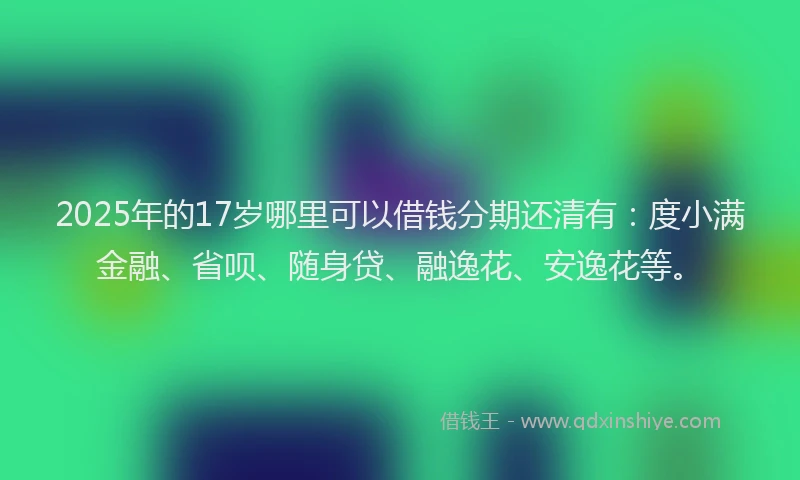 2025年的17岁哪里可以借钱分期还清有：度小满金融、省呗、随身贷、融逸花、安逸花等。