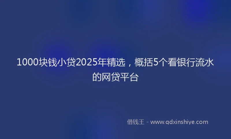 1000块钱小贷2025年精选，概括5个看银行流水的网贷平台