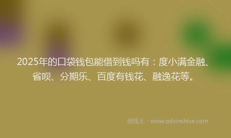 2025年的口袋钱包能借到钱吗有：度小满金融、省呗、分期乐、百度有钱花、融逸花等。