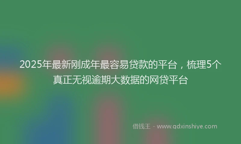 2025年最新刚成年最容易贷款的平台，梳理5个真正无视逾期大数据的网贷平台