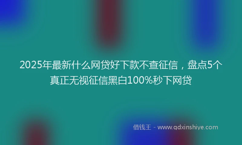 2025年最新什么网贷好下款不查征信，盘点5个真正无视征信黑白100%秒下网贷
