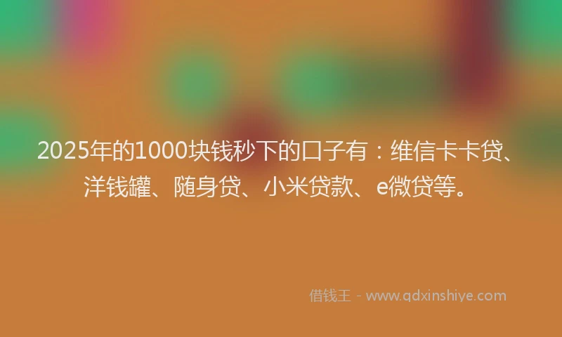 2025年的1000块钱秒下的口子有：维信卡卡贷、洋钱罐、随身贷、小米贷款、e微贷等。