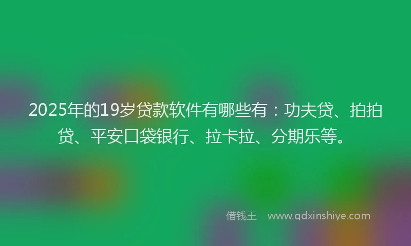 2025年的19岁贷款软件有哪些有：功夫贷、拍拍贷、平安口袋银行、拉卡拉、分期乐等。