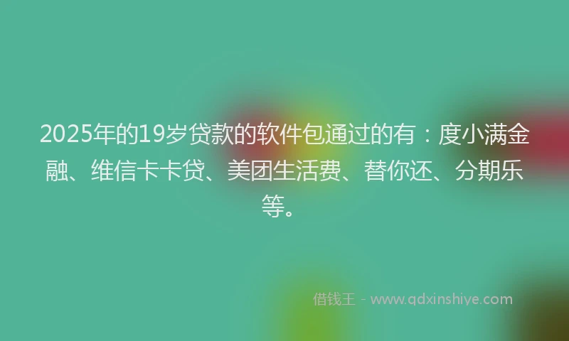 2025年的19岁贷款的软件包通过的有：度小满金融、维信卡卡贷、美团生活费、替你还、分期乐等。
