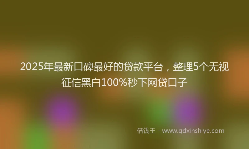 2025年最新口碑最好的贷款平台，整理5个无视征信黑白100%秒下网贷口子