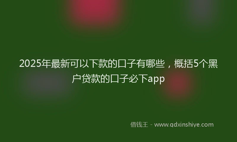 2025年最新可以下款的口子有哪些，概括5个黑户贷款的口子必下app