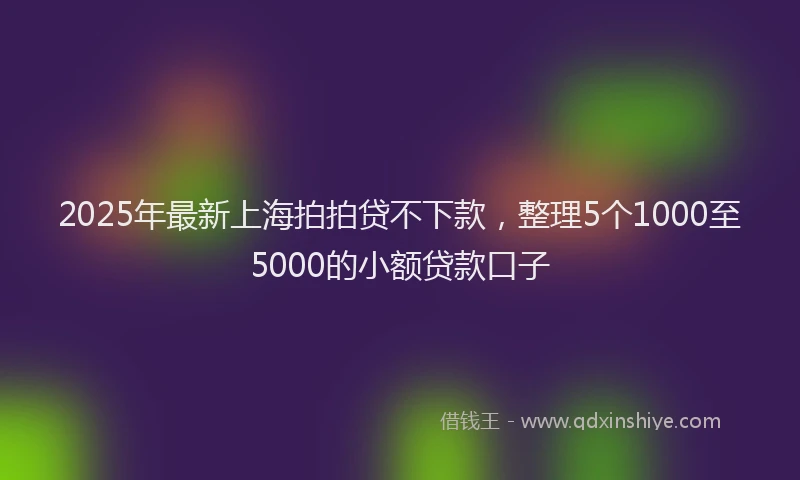 2025年最新上海拍拍贷不下款，整理5个1000至5000的小额贷款口子