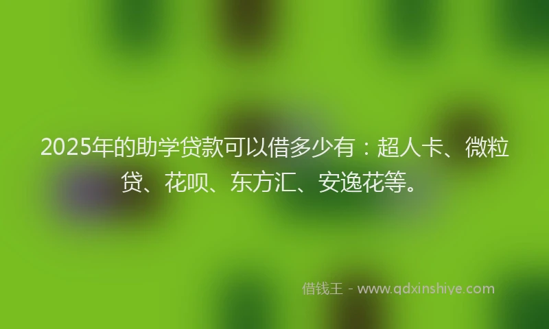 2025年的助学贷款可以借多少有：超人卡、微粒贷、花呗、东方汇、安逸花等。