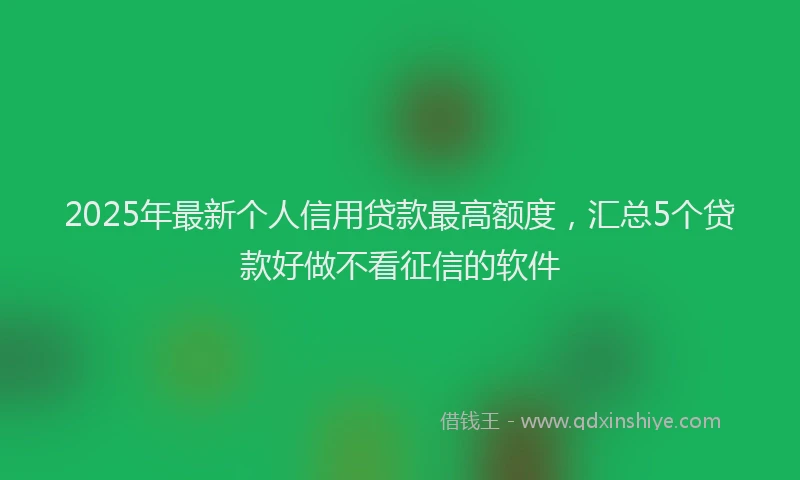 2025年最新个人信用贷款最高额度，汇总5个贷款好做不看征信的软件