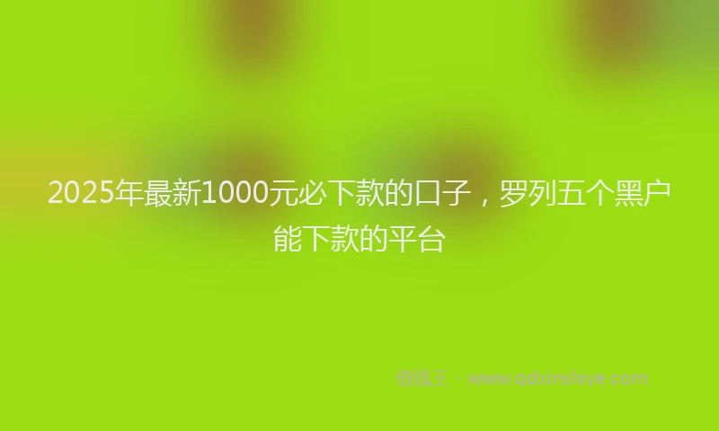 2025年最新1000元必下款的口子，罗列五个黑户能下款的平台