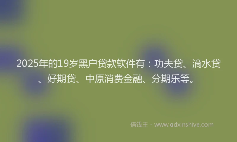 2025年的19岁黑户贷款软件有：功夫贷、滴水贷、好期贷、中原消费金融、分期乐等。