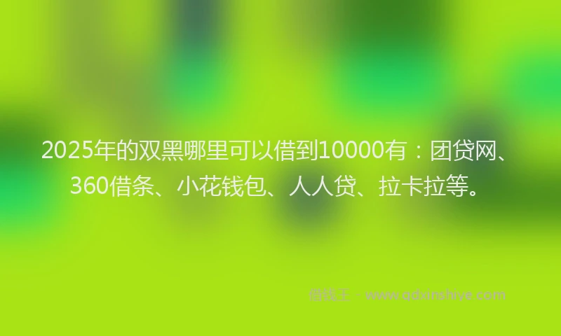 2025年的双黑哪里可以借到10000有：团贷网、360借条、小花钱包、人人贷、拉卡拉等。