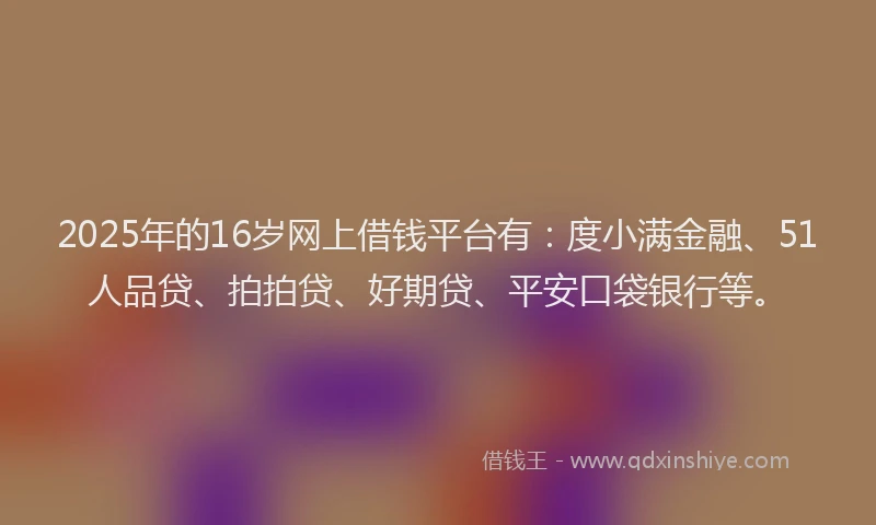 2025年的16岁网上借钱平台有：度小满金融、51人品贷、拍拍贷、好期贷、平安口袋银行等。