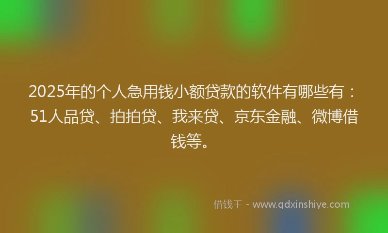 2025年的个人急用钱小额贷款的软件有哪些有：51人品贷、拍拍贷、我来贷、京东金融、微博借钱等。